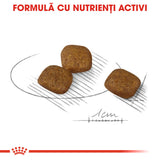 Royal Canin Mini Coat Care