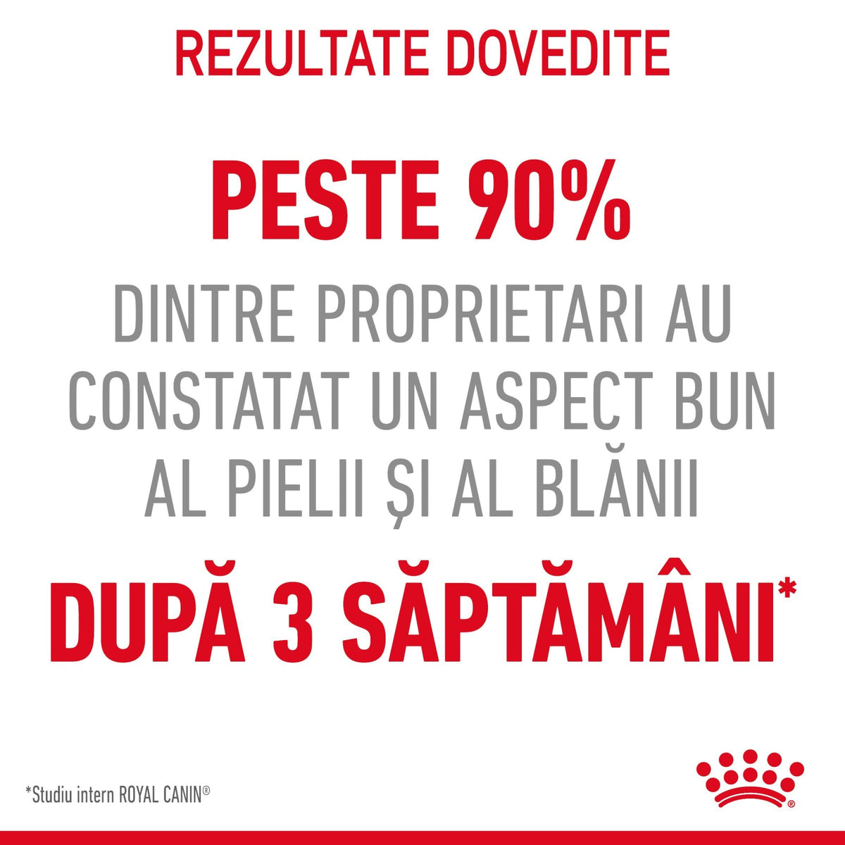 Royal Canin Hair&Skin Care in Jelly 85 G