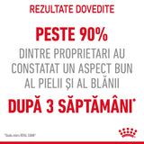 Royal Canin Hair&Skin Care in Jelly 85 G