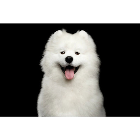 Superior Care White Dogs Snacks GF Crestere si Dezvoltare Sanatoasa pentru Juniori cu Insecte