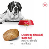 Royal Canin Giant Adult