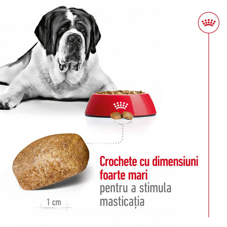 Royal Canin Giant Adult