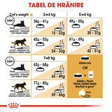 Royal Canin British Shorthair Adult