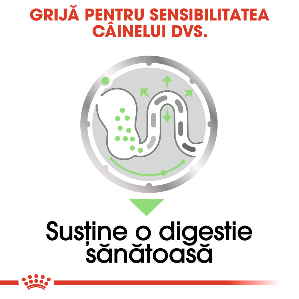 Royal Canin Digestive Care In Loaf Plic 85 G