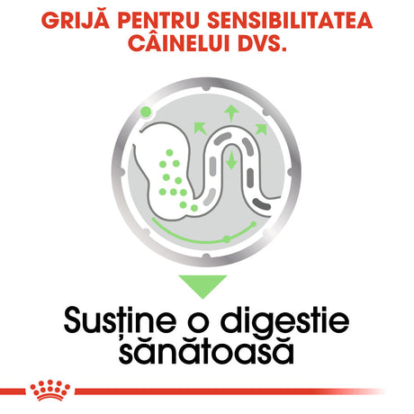 Royal Canin Digestive Care In Loaf Plic 85 G