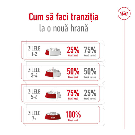Royal Canin – tranziția treptată la noua hrană în șapte zile