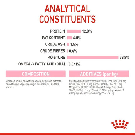 Royal Canin Kitten In Jelly Plic 85 G