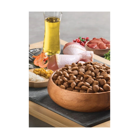 BonaCibo Adult Chicken&Rice with Anchovy