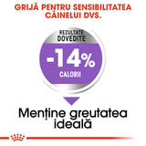 Royal Canin Mini Sterilised