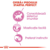 Royal Canin Kitten In Loaf Plic 85 G