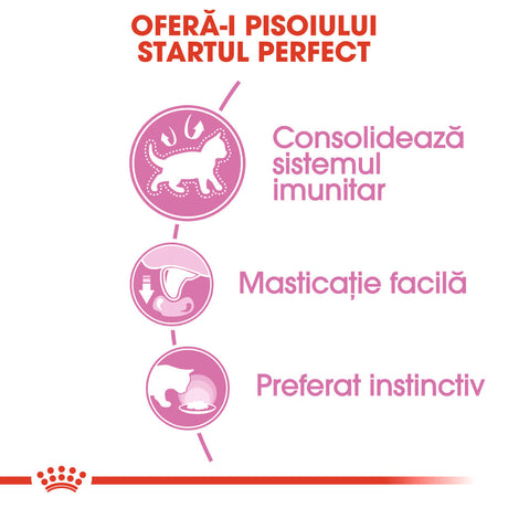 Royal Canin Kitten In Loaf Plic 85 G
