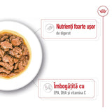 Royal Canin X-Small Plic 85 G
