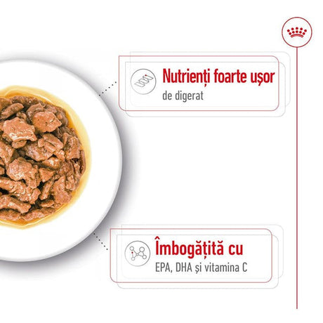 Royal Canin X-Small Plic 85 G