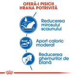 Royal Canin Indoor