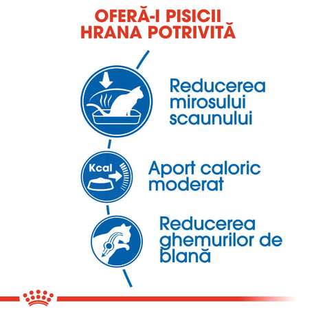 Royal Canin Indoor