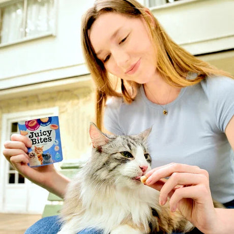 Juicy Bites Recompense pentru Pisici cu Crab si Scoici