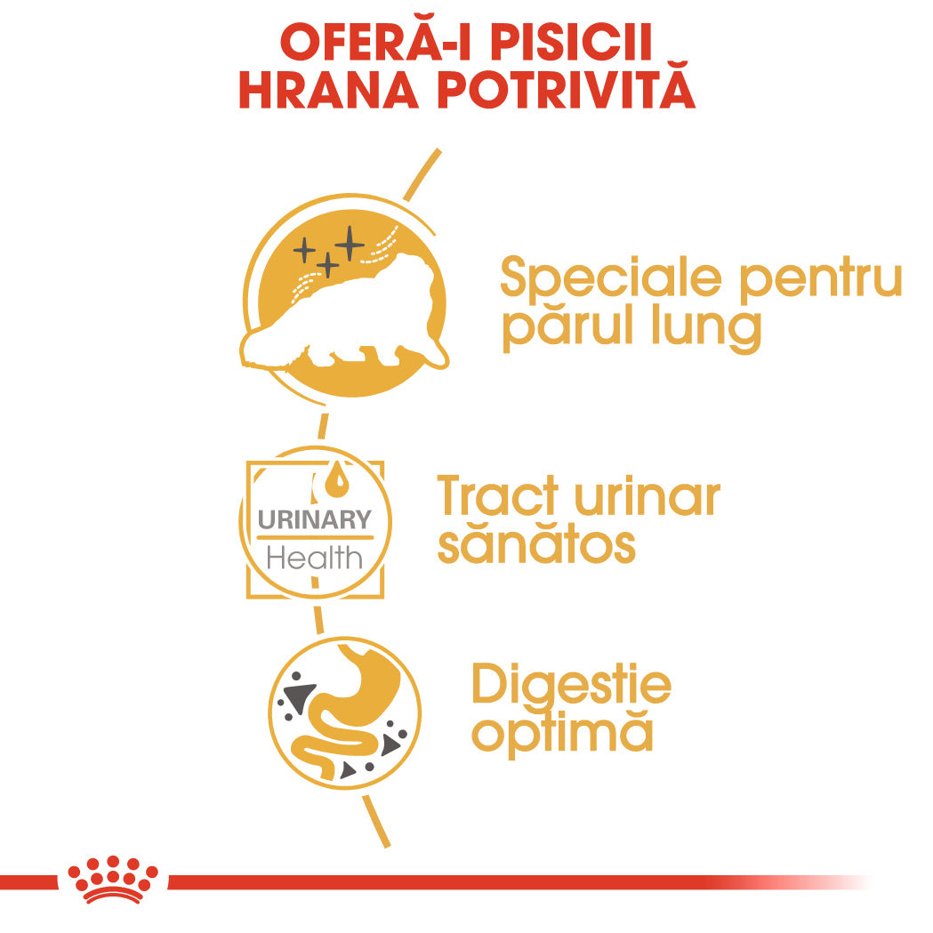 Royal Canin Persian Adult Plic 85 G