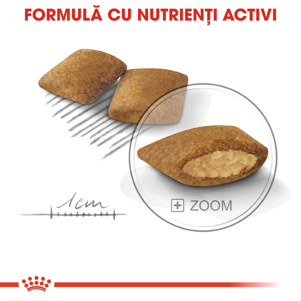 Royal Canin Mini Exigent
