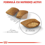 Royal Canin Mini Exigent
