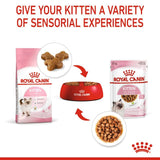 Royal Canin Kitten In Gravy Plic 85 G