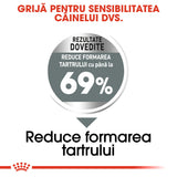 Royal Canin Mini Dental Care