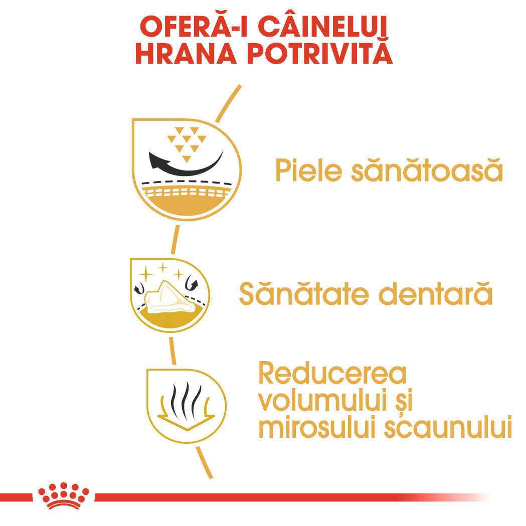 Royal Canin Shih Tzu Adult
