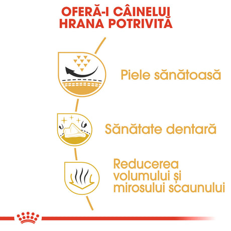 Royal Canin Shih Tzu Adult