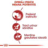 Royal Canin Instinctive In Jelly Plic 85 G