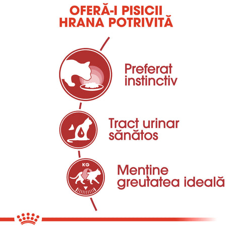 Royal Canin Instinctive In Jelly Plic 85 G