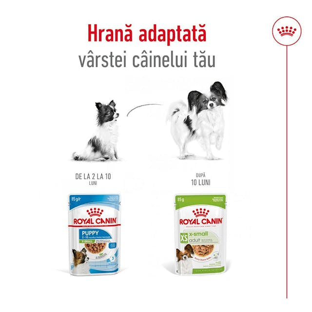 Royal Canin X-Small Plic 85 G