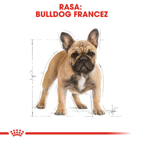 Royal Canin French Bulldog Adult