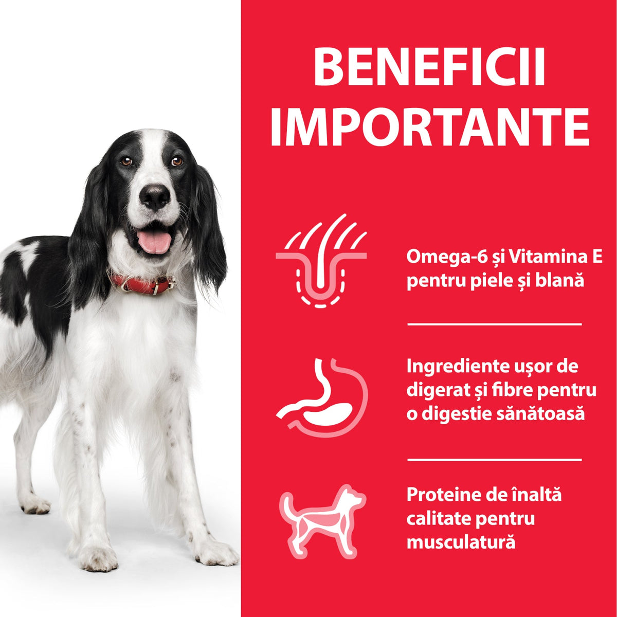Hill's Science Canine Adult with Chicken Can
