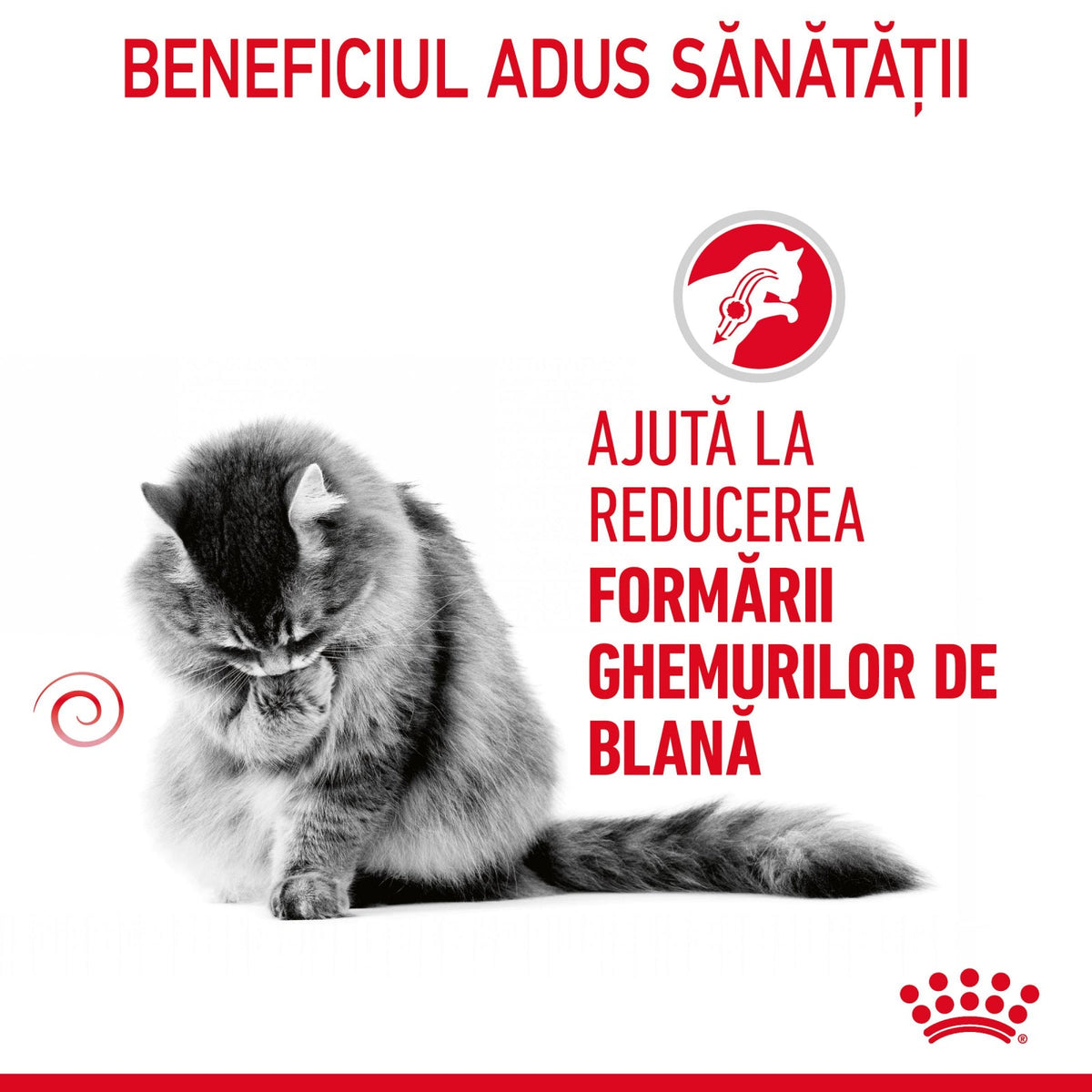 Royal Canin Hairball Care