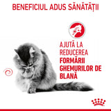 Royal Canin Hairball Care