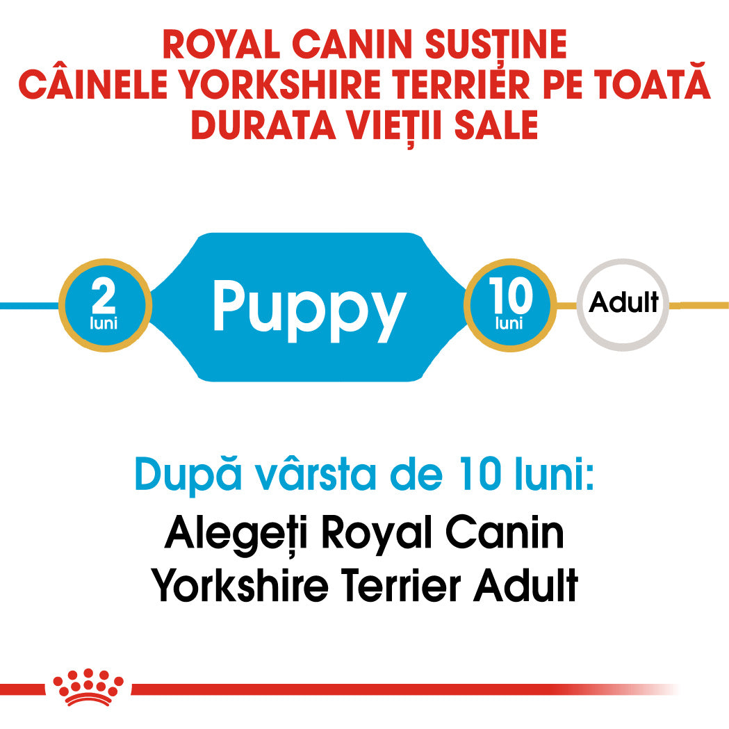 Royal Canin Yorkshire Terrier Junior