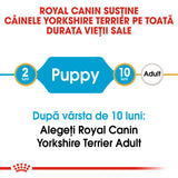 Royal Canin Yorkshire Terrier Junior