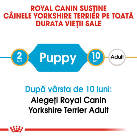 Royal Canin Yorkshire Terrier Junior