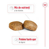 Royal Canin Giant Adult