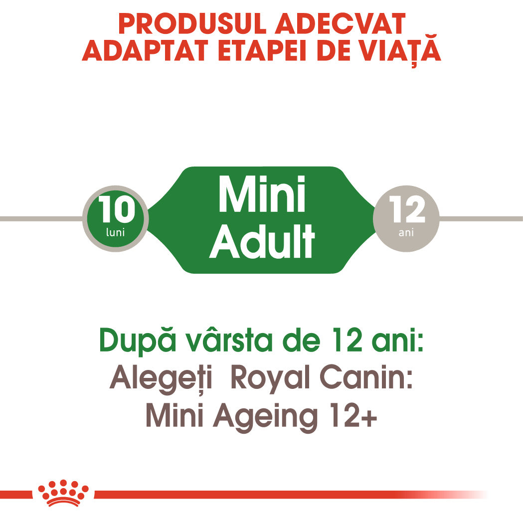 Royal Canin Mini Adult Plic 85 G