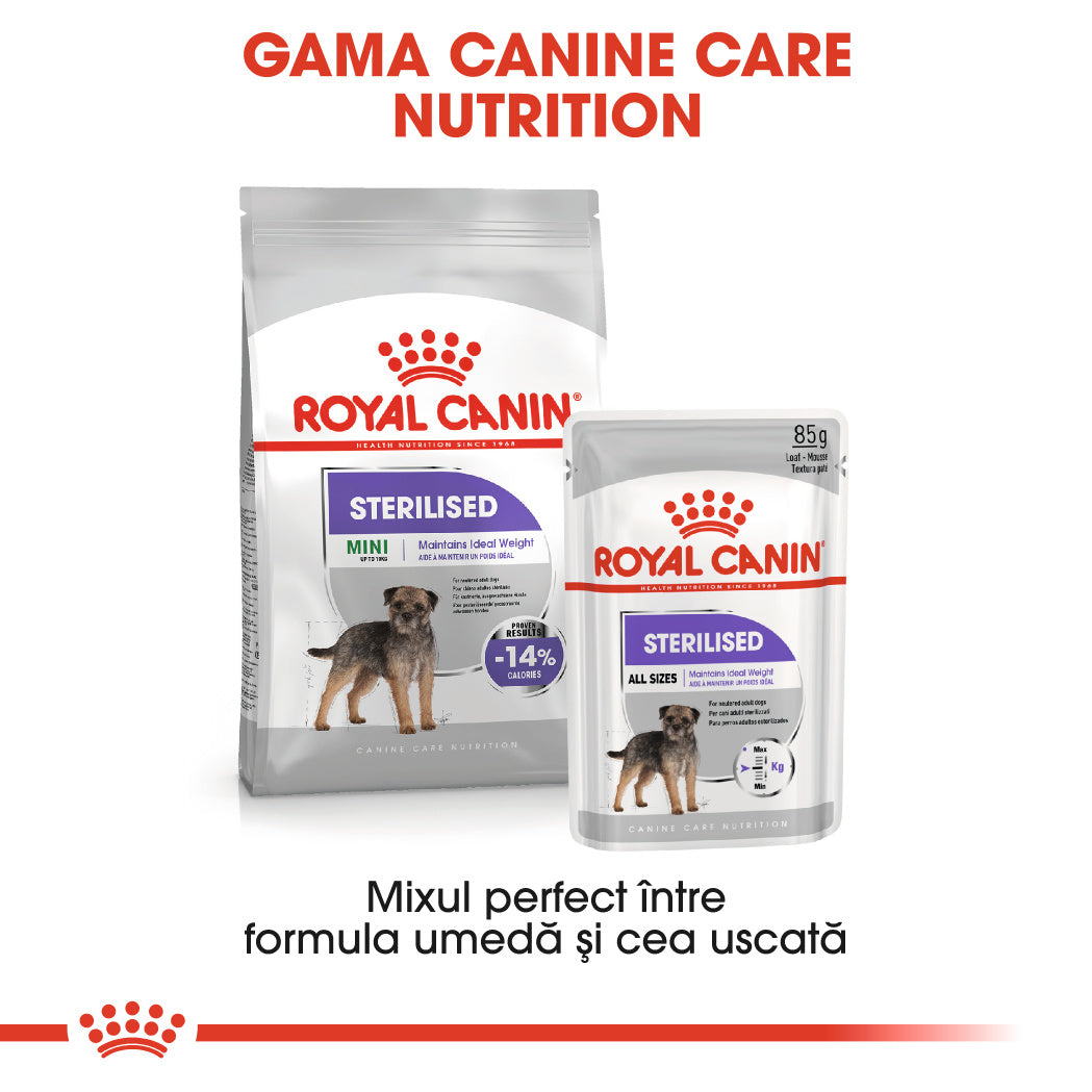 Royal Canin Mini Sterilised