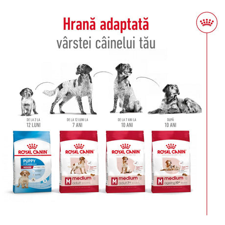 Royal Canin Medium Adult 7+