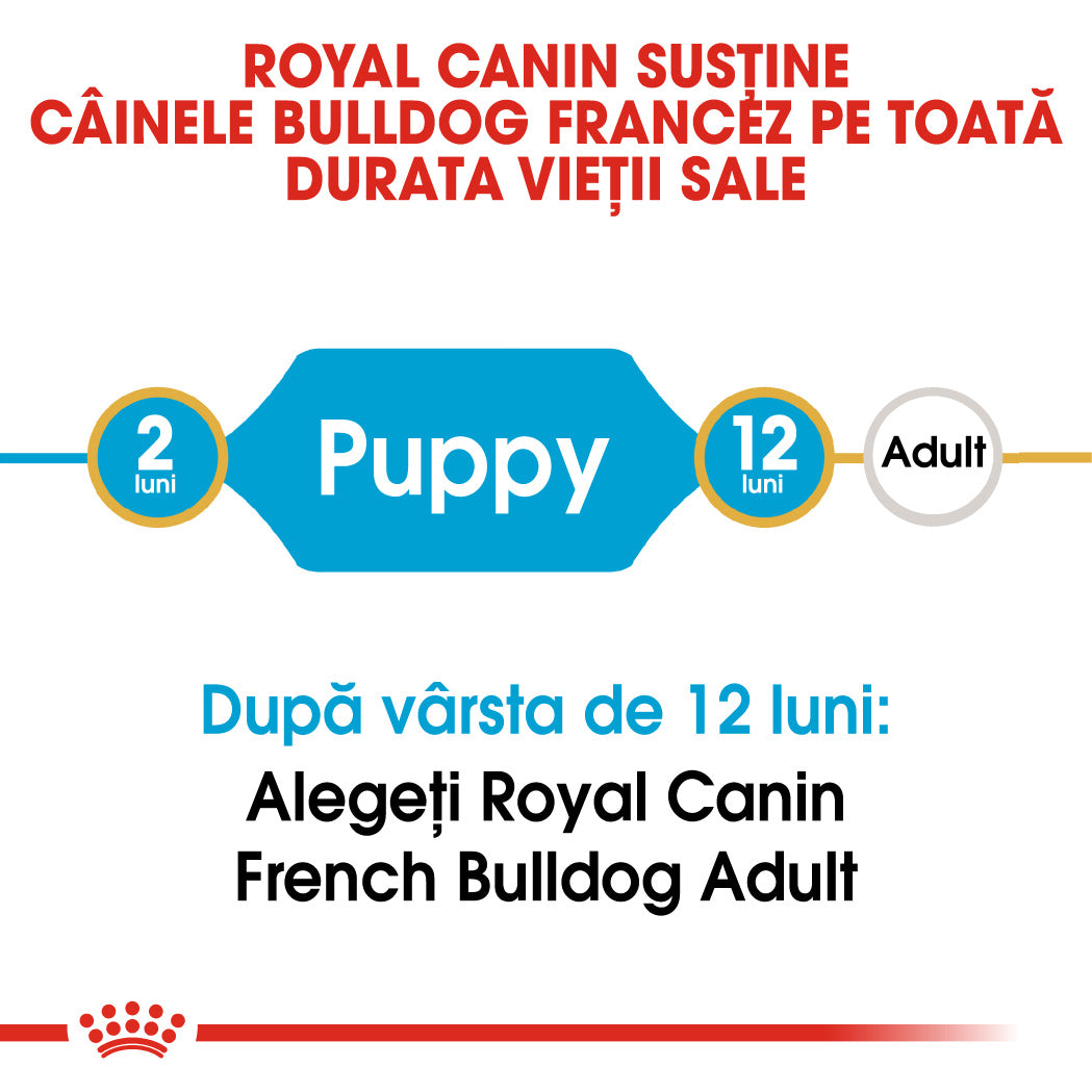 Royal Canin French Bulldog Junior