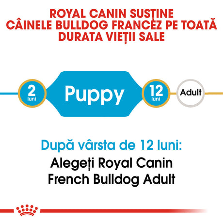 Royal Canin French Bulldog Junior