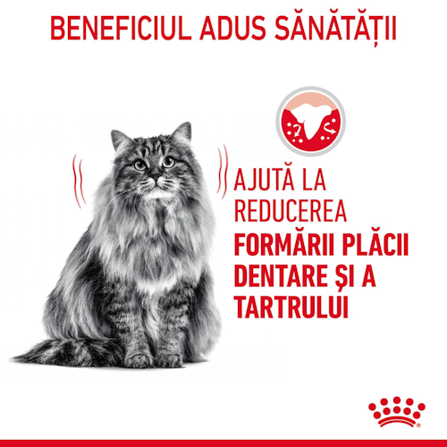 Royal Canin Dental Care