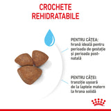 Royal Canin Mini Starter