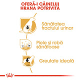 Royal Canin Bichon Frise Adult