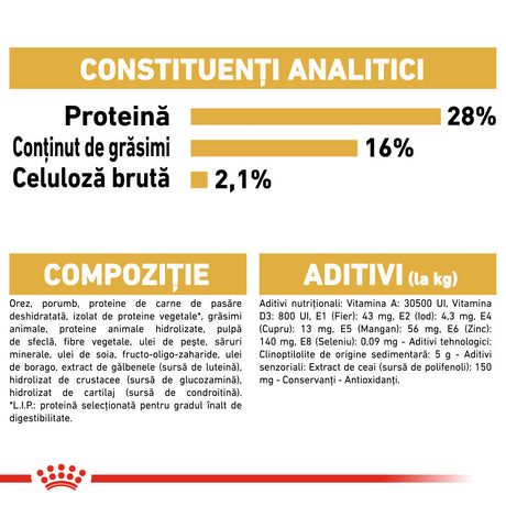 Royal Canin Chihuahua Adult