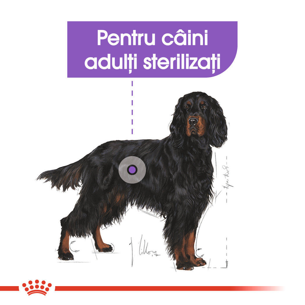 Royal Canin Maxi Adult Sterilised