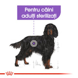 Royal Canin Maxi Adult Sterilised