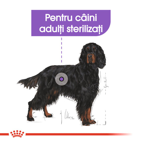 Royal Canin Maxi Adult Sterilised